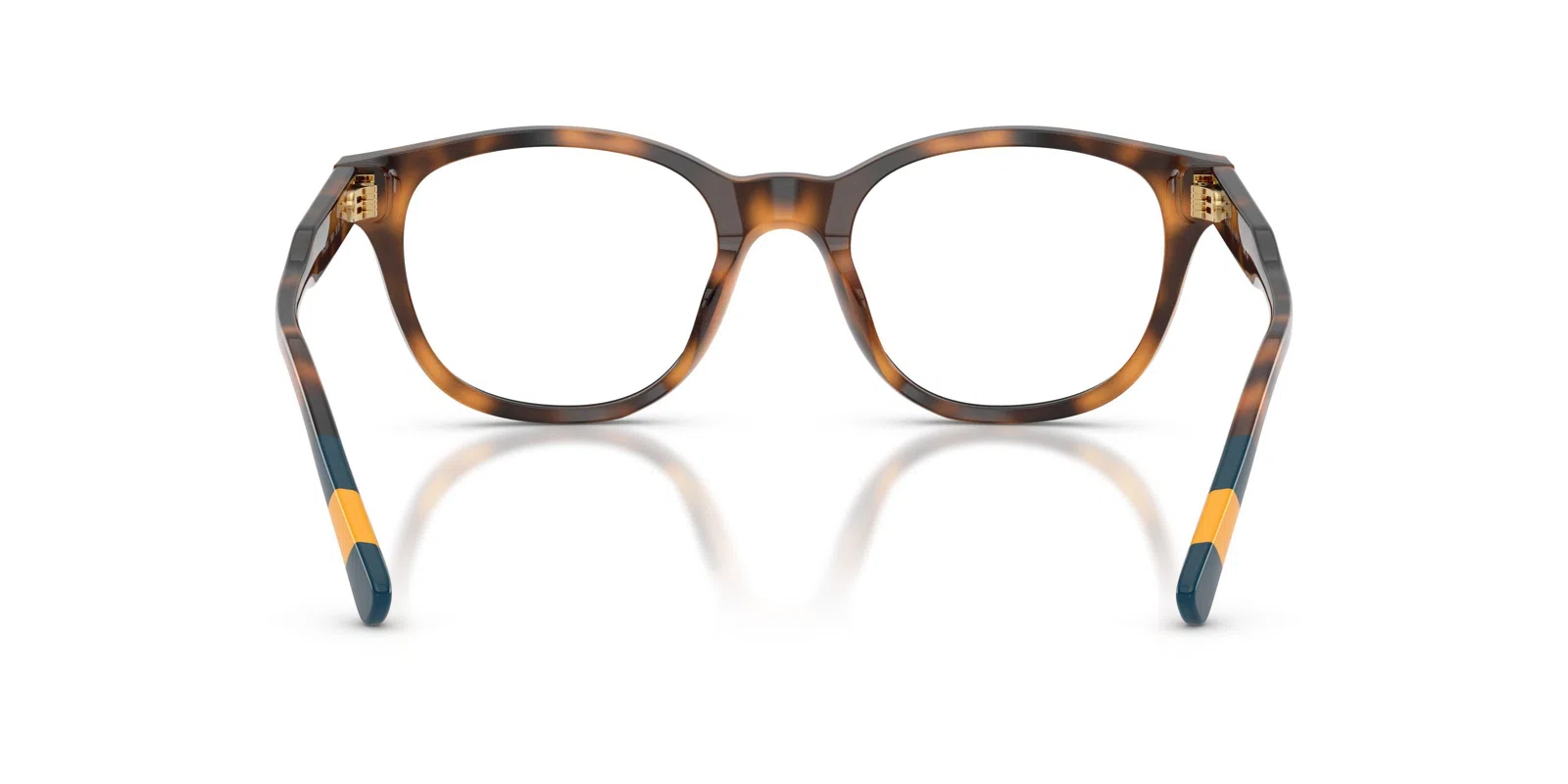 Polo 2303U Eyeglasses - view 18